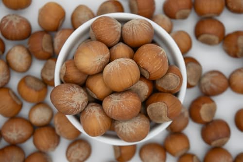 Lila Bazaar - 6LB Resealable Bag - Oregon Hazelnuts in Shell - Raw, Whole, Unsalted, Fresh, Nutty - No Added Flavor, No GMO