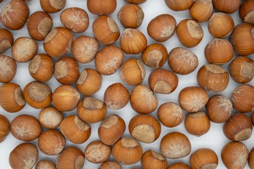 Lila Bazaar - 6LB Resealable Bag - Oregon Hazelnuts in Shell - Raw, Whole, Unsalted, Fresh, Nutty - No Added Flavor, No GMO